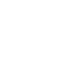 AMCHAM-ICC-2